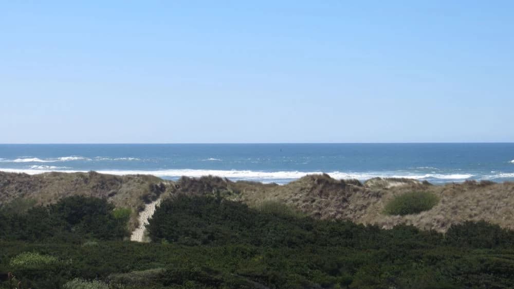 Deja View on Heceta Beach — main photo