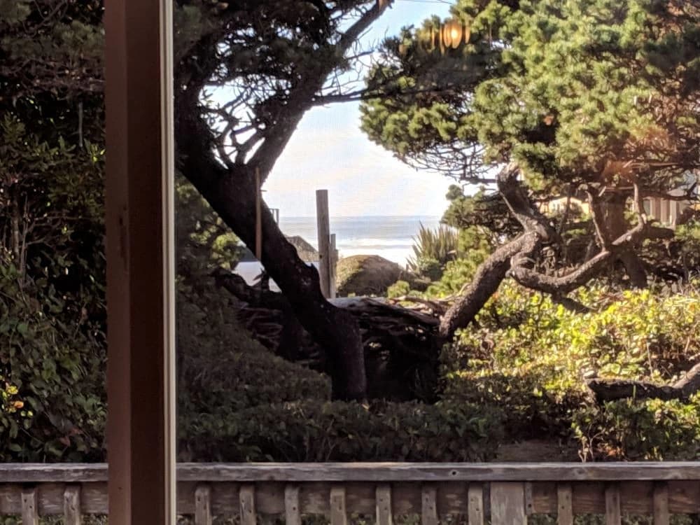 Heceta Haven with a peek at Heceta Beach vacation rental in Florence — photo 3