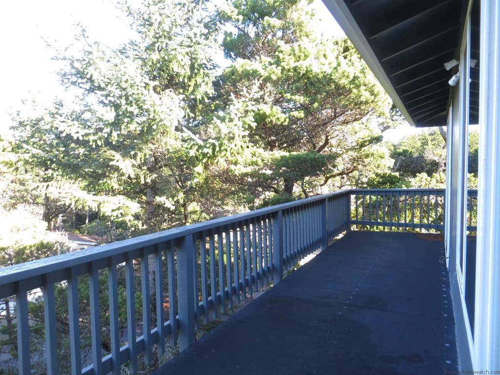 Osprey Pines - Fenced Yard, Dog Friendly vacation rental in Florence — photo 4