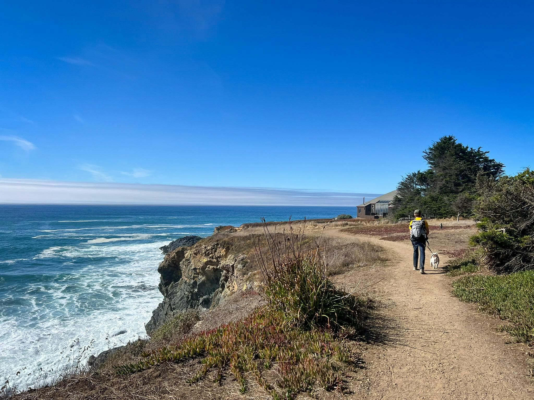 The Sea Ranch, California: A Coastal Getaway Like No Other