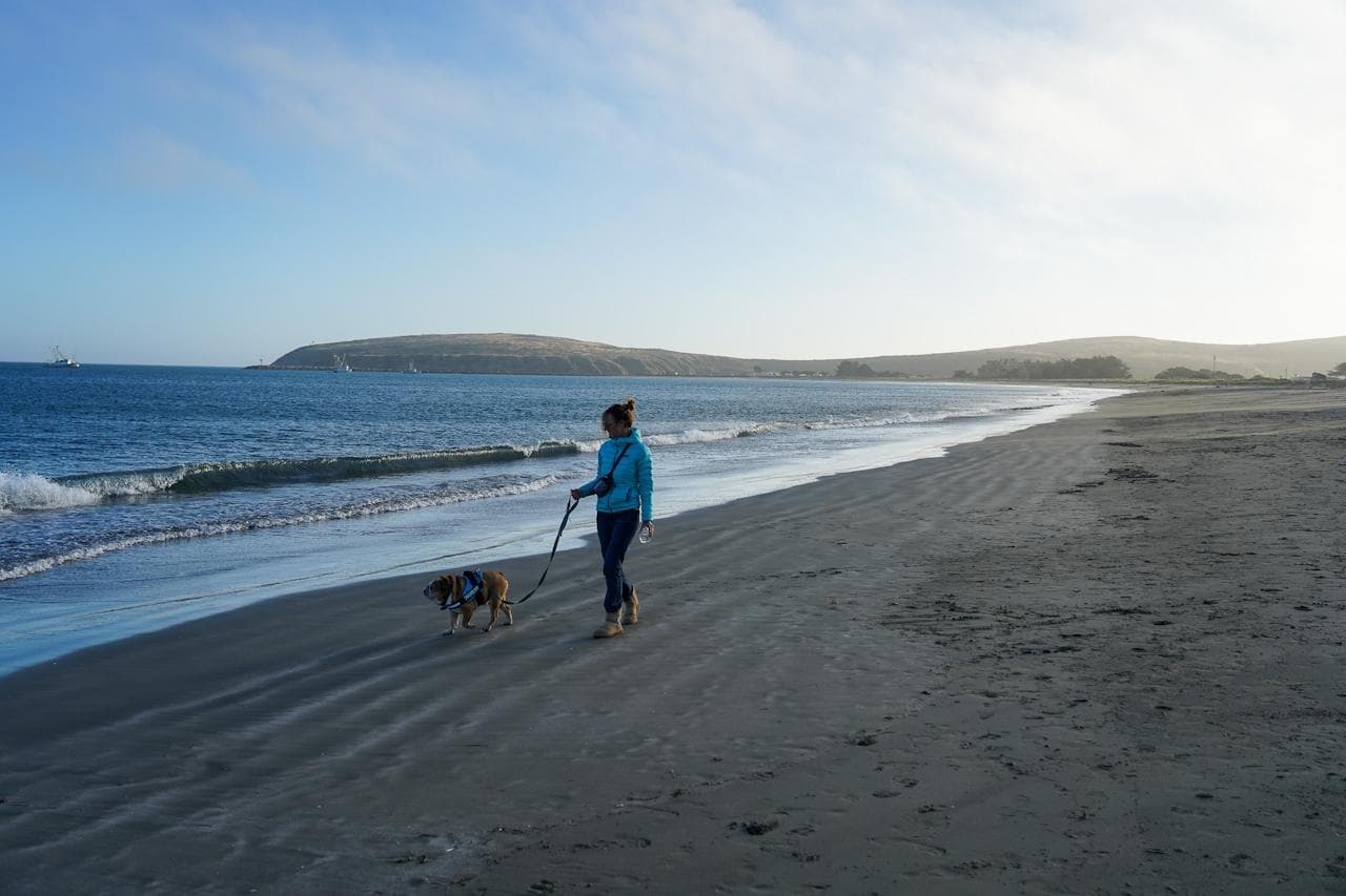 Bodega Bay, California: A Classic Northern California Coast Getaway