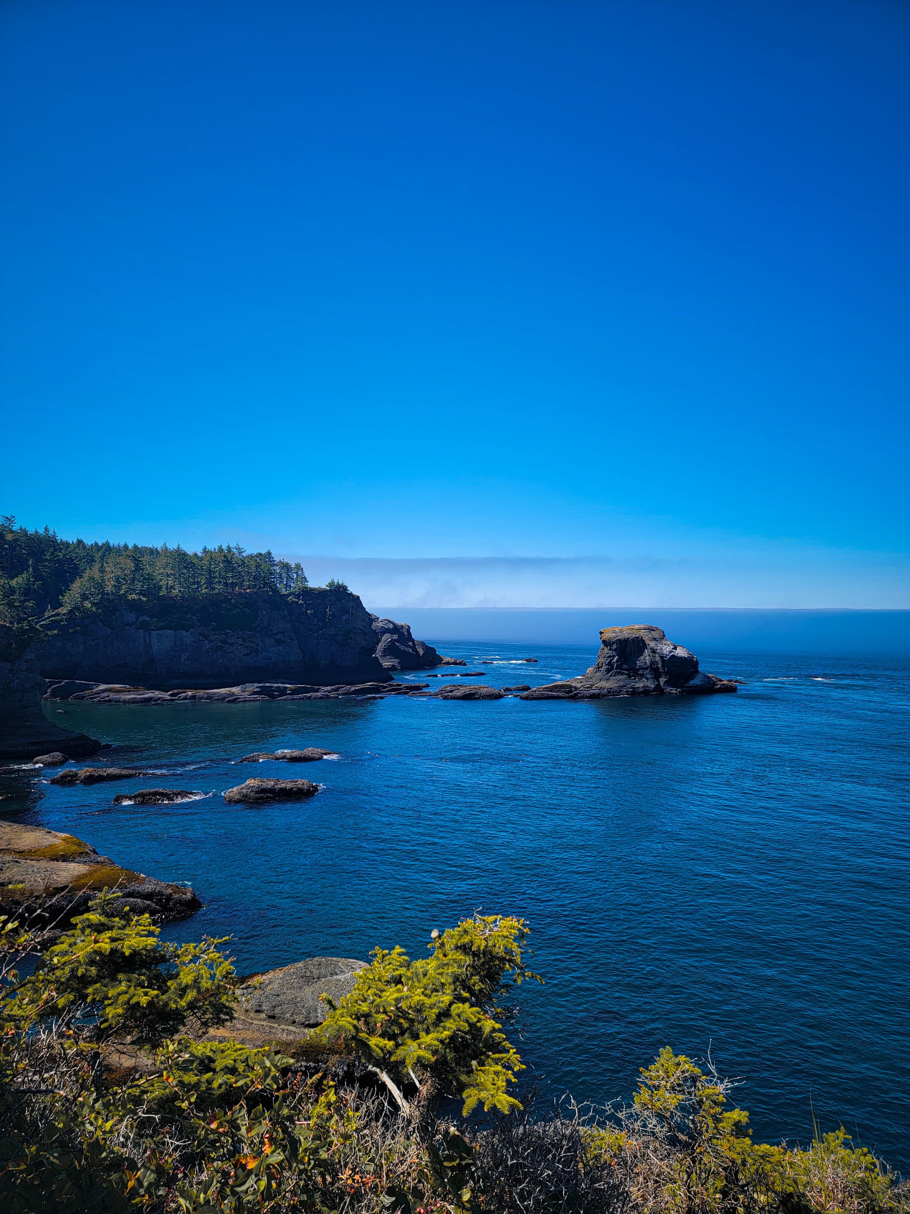 Washington Coast vacation rentals